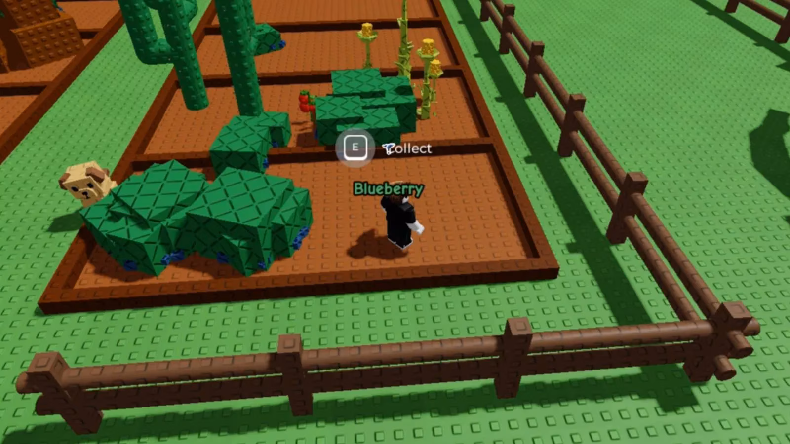 why-grow-a-garden-s-fence-is-the-real-mvp-in-2026-image-0