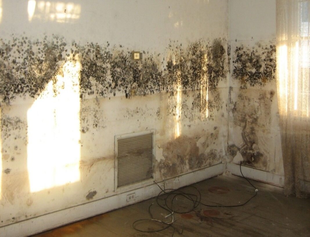 How Do You Get Rid Of Mold Spores From The Air Ducts